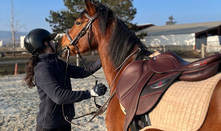 Tout Savoir sur le Saddle Fitting