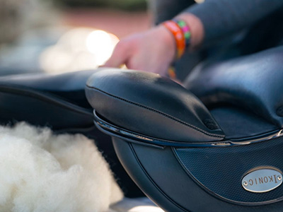 Coline Bass – Saddle Fitting Alsace