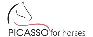 picassso_for_horse_saddle_fitting_alsace